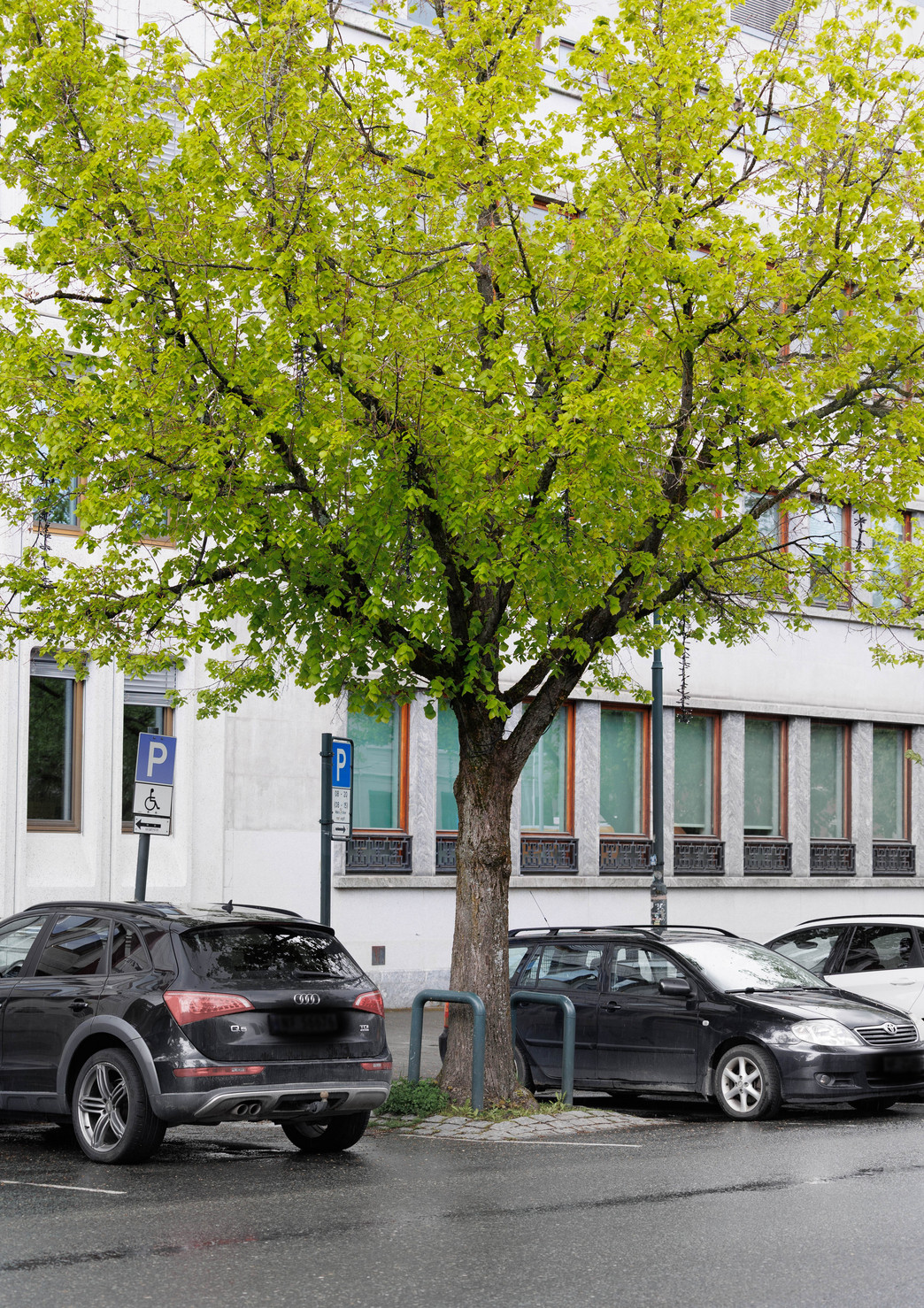 Tilpasse seg eller omskape seg