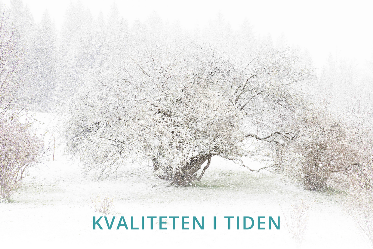 Nye produkter i butikken